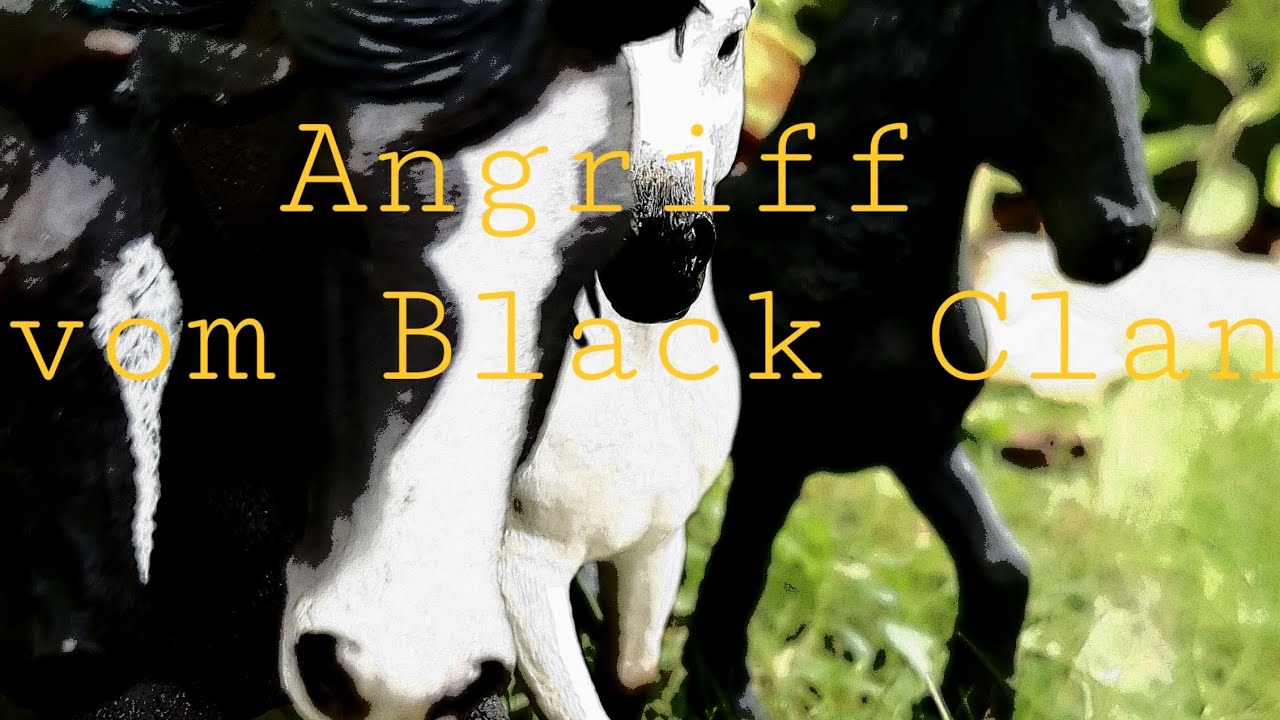 Der Wild Clan Folge 1  Stern in Gefahr😱