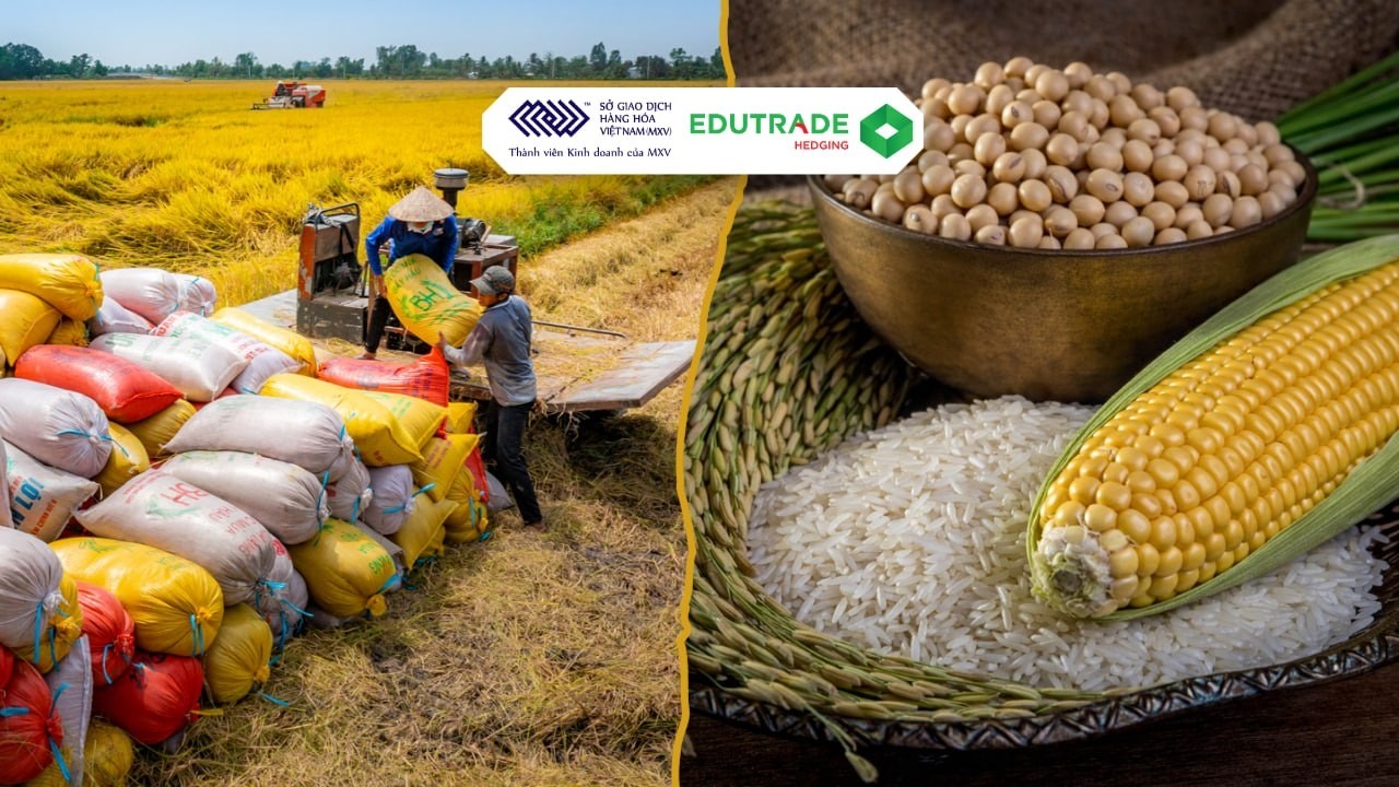 Nhận Định 01.06.2026 | Nhóm Nông Sản