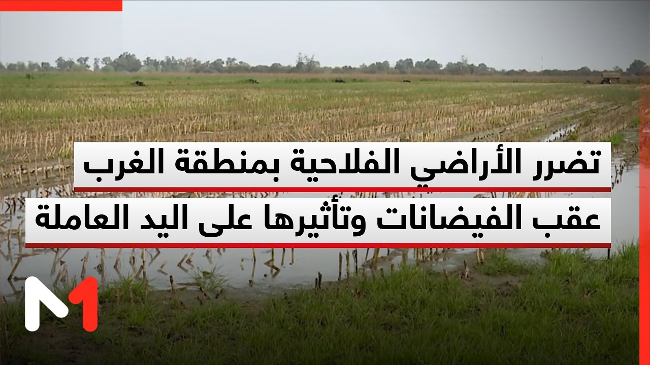 تضرر الأراضي الفلاحية بمنطقة الغرب عقب الفيضانات وتأثيرها على اليد العاملة