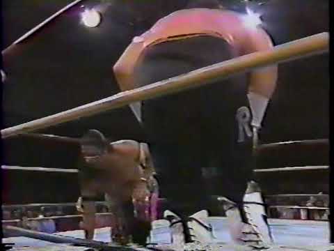 Renegade Warriors Vs The Ringlords 1990 11 17
