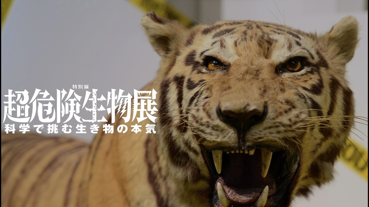 【中古】 生物のお話 National Museum of Nature and Science Official] Taking on
