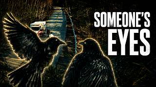 Who Do The Crows Work For FROM Theory