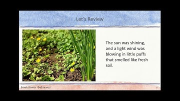 Let’s Set the Context   Lion V1