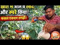 खीरा में आज ए खाद स्प्रे किया जाने