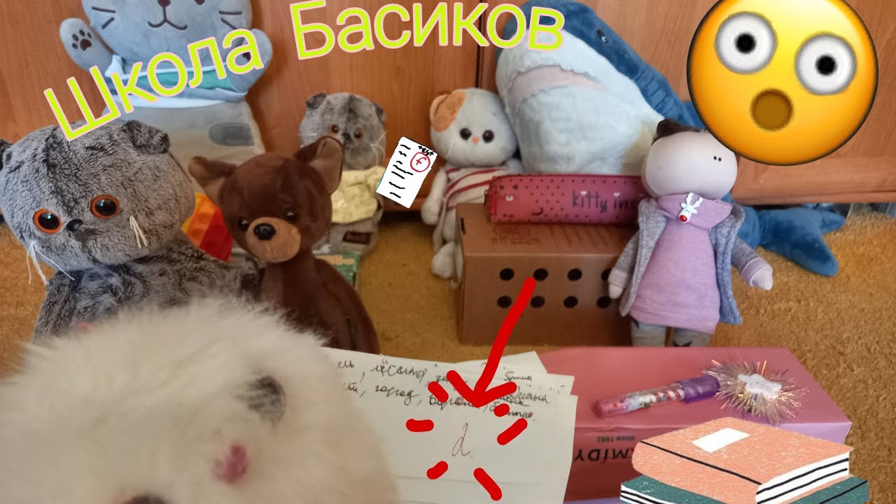 Видео школа басиков