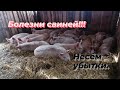 Потери в хозяйстве. Несём убытки.