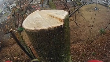 Helicopter logging works uncut (last part) with fail