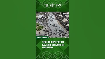 Sự thật đau lòng về thảm kịch Darfur khiến ai cũng sốc #shortvideo #shorts #news #tinsot247