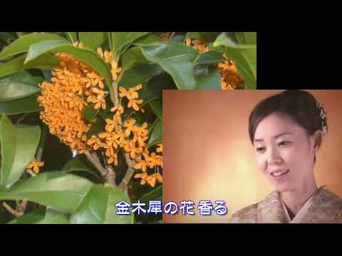 ふたり秋日和 永井みゆき 2011