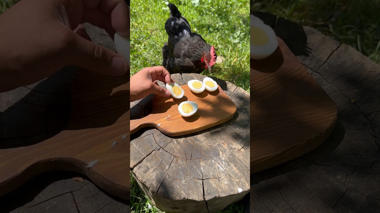 Yumurtalı Tereyağı ???? ???? #Yemek #yemektarifleri #Food #egg #tavuk #chicken Yumurtalı Tereyağı ???? ???? #Yemek #yemektarifleri #Food #egg #tavuk #chicken