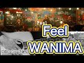 Feel/WANIMA ギター弾き語り【歌詞・コード付き】