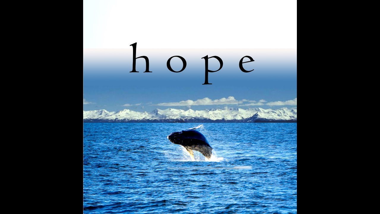 Hope - Leo Perez (Official Music Video)