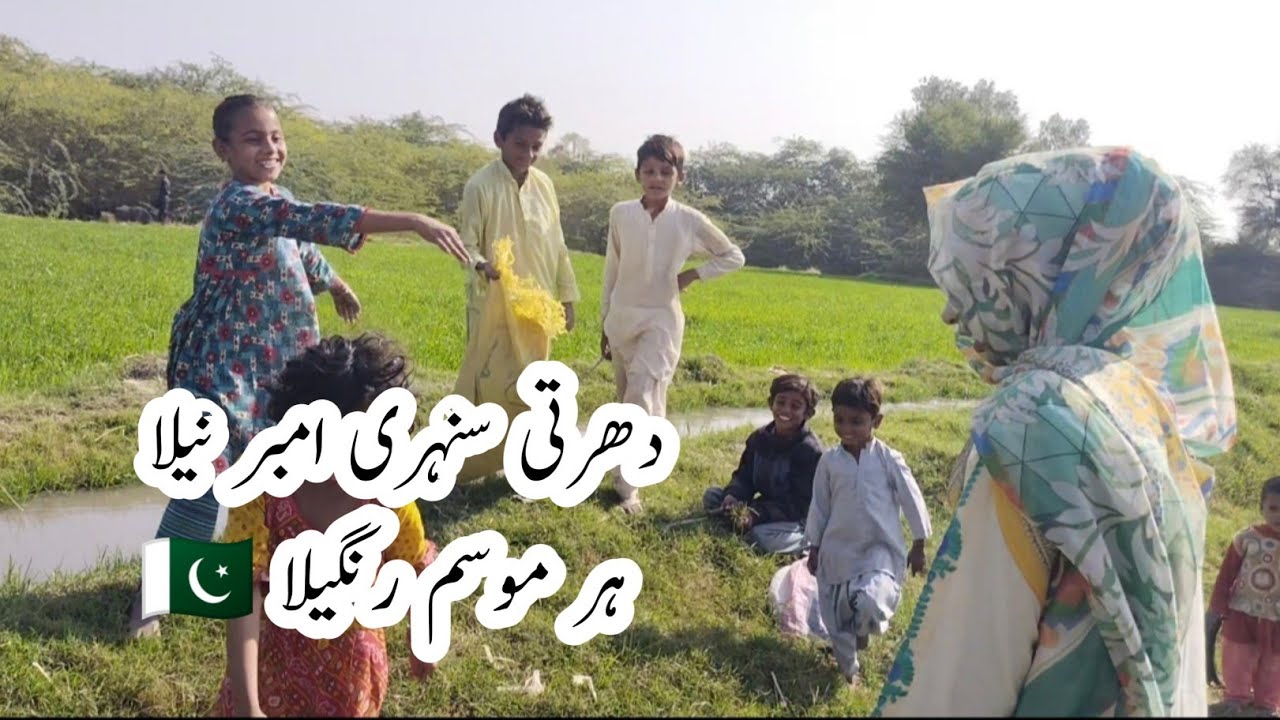 Nawabshah Agriculture Land | vlog | Pakistan | Rimsha ji - YouTube
