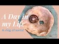 A VLOG OF SORTS - A Day in My Life - Finding joy in everyday things - not a lot of art though