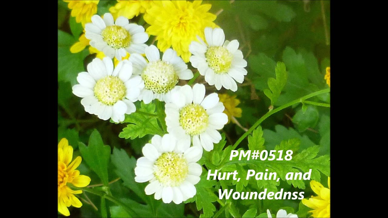 Hurt-Pain-and Woundedness