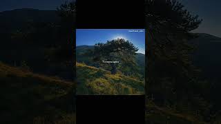 Whole Song Is Masterpiece But These Lines Tu Mera Aaina Lyrics