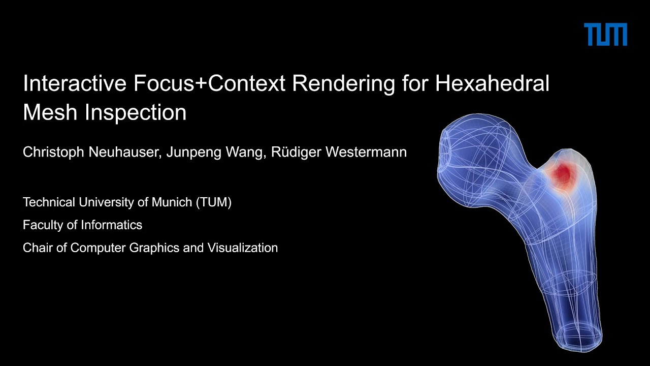 Interactive Focus+Context Rendering for Hexahedral Mesh Inspection (short)