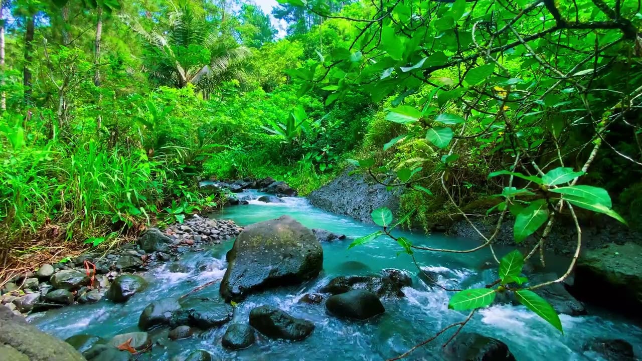 [ 4K UHD ] 3 Hour of Tranquil Green Water ASMR on a Journey into the Wild I Sleep,Study and Calm 🎧