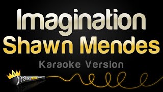 Shawn Mendes - Imagination (Karaoke Version) screenshot 5