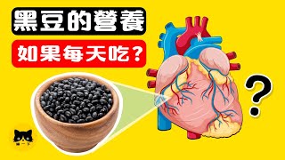 Black Beans Nutritions | What Are The Benefits of Eating Black Beans Everyday?