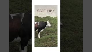 Селянчик - український телеграм бот #lifepeasantbot #телеграмбот #ферма #бот