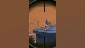 عركه ورا عركه احلى مسا منى 