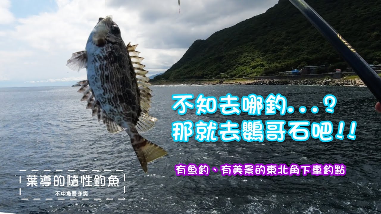 不知道去哪裡釣....那就去鸚哥石吧! 遇到好久不見的西網