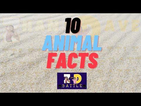 10 Animal Facts | Katotohanan Tungkol sa Hayop | Game 2