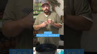 Shorts from “Trying a New Treatment For Bumblefoot | Rocking C Homestead