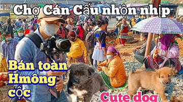Can Cau market | Review chợ phiên Cán Cấu bán nhiều thứ. Chó con Hmông cộc, chó xù Bắc Hà| full HD