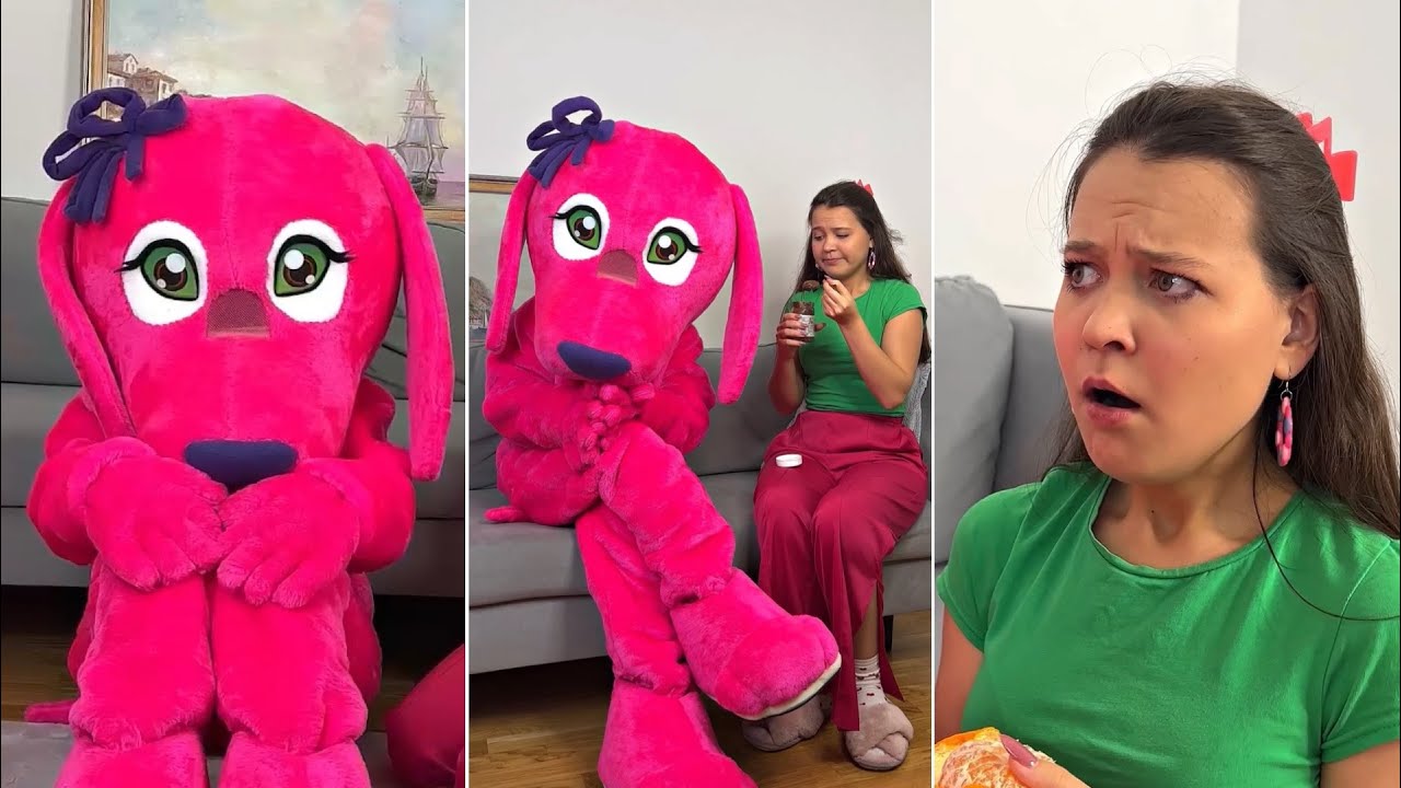 a-compilation-of-the-coolest-videos-with-a-huge-dog-youtube