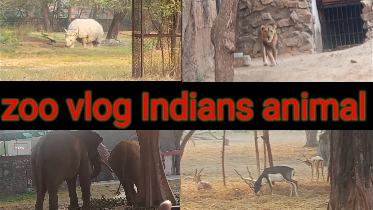 Indian animal vlog zoo animals ★