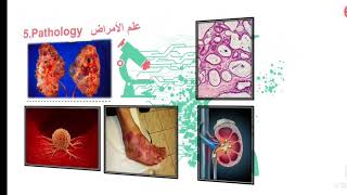 سنة أولى طب/ ١.مواد كلية طب بشري