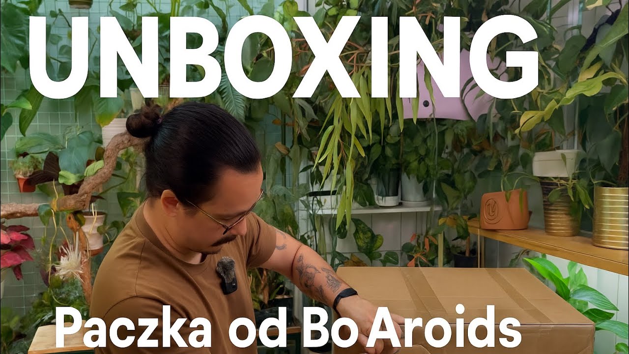 Nie uwierzysz, co było w tej 16-kilogramowej paczce o@Bo Aroids !❤️