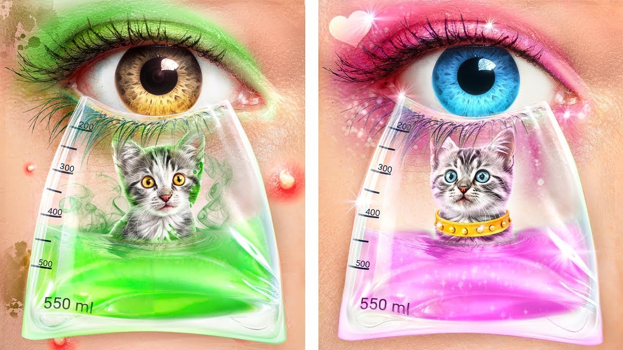 ちっちゃなねこちゃんを助けた！ペットと仲良くなるためのひみつワザ！