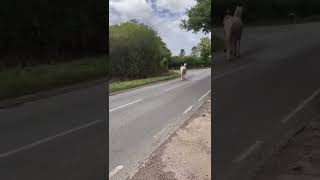 Ad ref 288861   Video 1