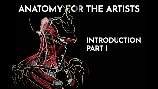 Exclusive Anatomy for the Artists - intro part I Profile