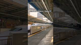 Perdana naik Shinkansen Tokyo - Osaka - Kobe🚊#shinkansen #japan #japantravel