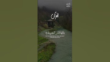 يَقُولُ يَالَيْتَنِي قَدَّمْتُ لِحَيَاتِي | كرومات قرآن هاني الرفاعي سورة الفجر|