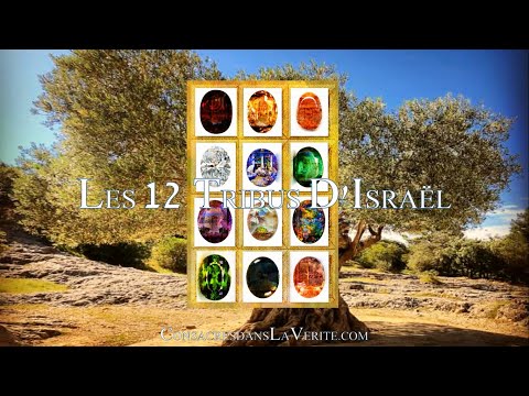 Vídeo: A la bíblia les 12 tribus d'Israel?