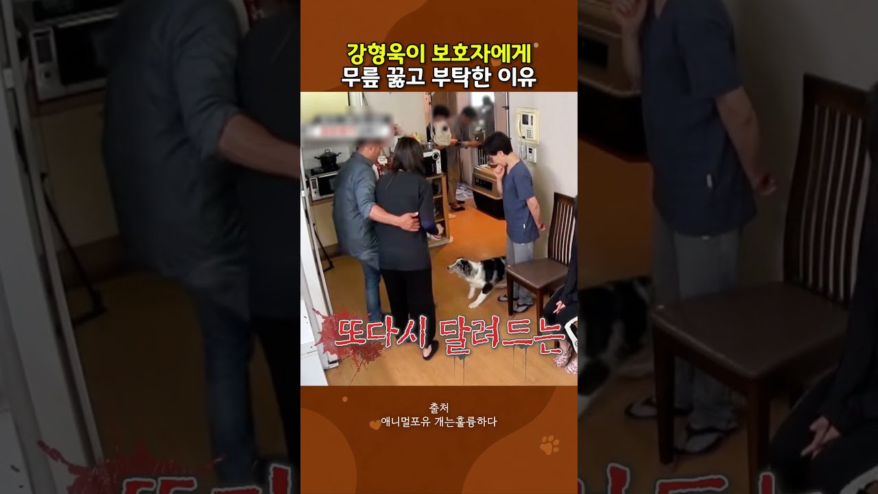 강형욱이 무릎 꿇은 이유