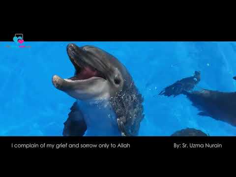 I Complain of My Grief and Sorrow only to Allah | by Sr. Uzma Nurain | Urdu talk