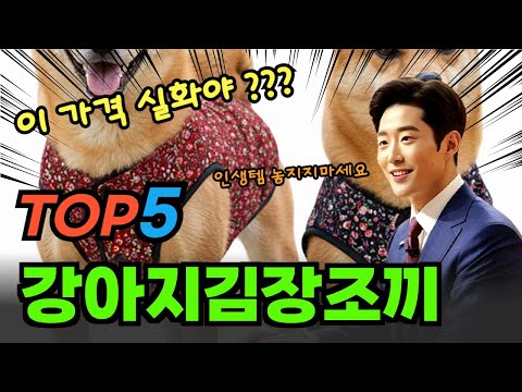 초특가 강아지김장조끼 순위 비교 및 제품 추천