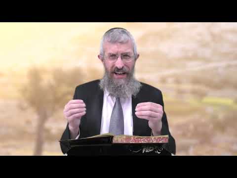 מסכת מנחות דף קה - 8 דקות של לומדות ועמקות בדרך הלימוד הישיבתית [Menachot 105]