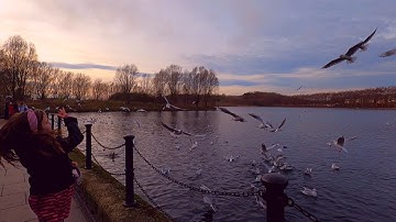 Commitment In Network Marketing