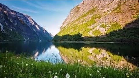 آية الدَّين بصوت القارئ فارس عباد ❀