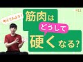 筋肉はどうして硬くなる？考えてみよう！【第11話】
