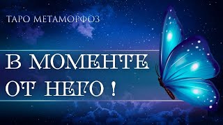 🦋Это не придумать... ЧТО ОН ХОЧЕТ СКАЗАТЬ ПРЯМО СЕЙЧАС В МОМЕНТЕ💙 Таро💎