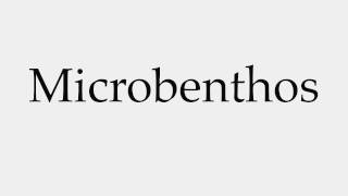 How to Pronounce Microbenthos