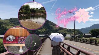 Echizen Fukui Prefecture - Sakura Japan